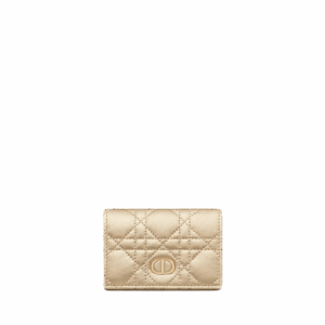 CD CARO WALLET