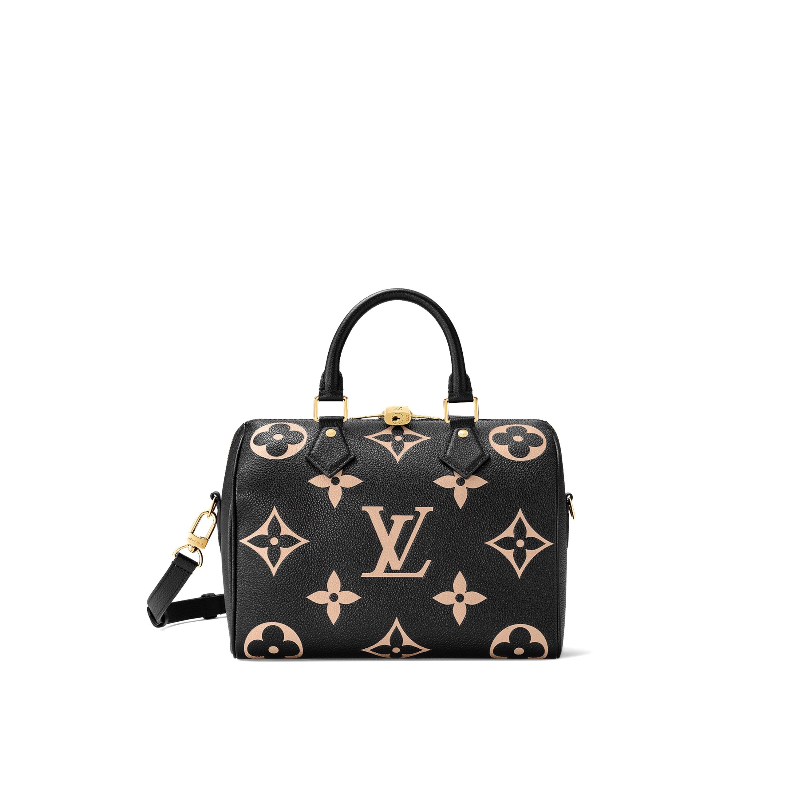 LV BAG