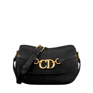 CD BESACE BAG