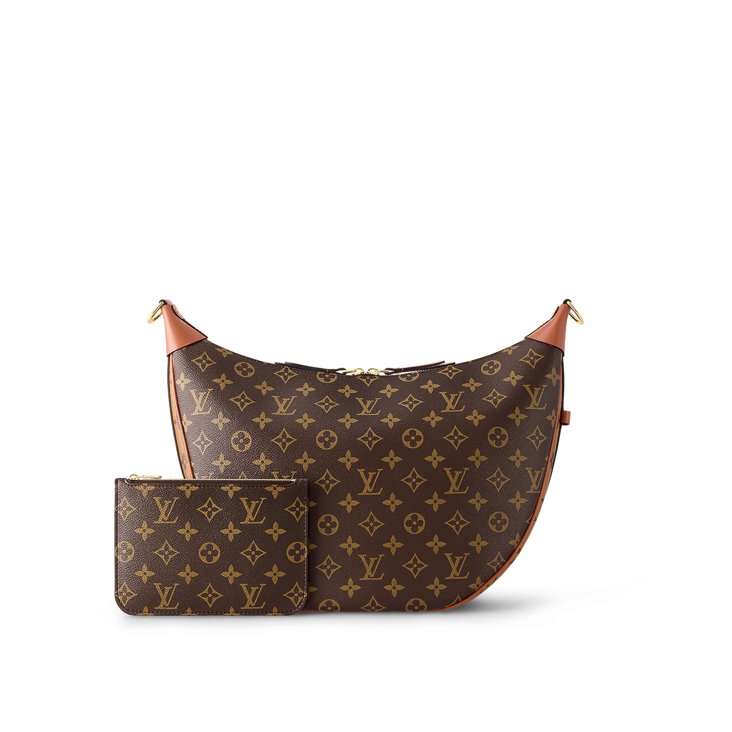 louis-vuitton-loop-hobo-M46311_PM1_Back-view.png.webp