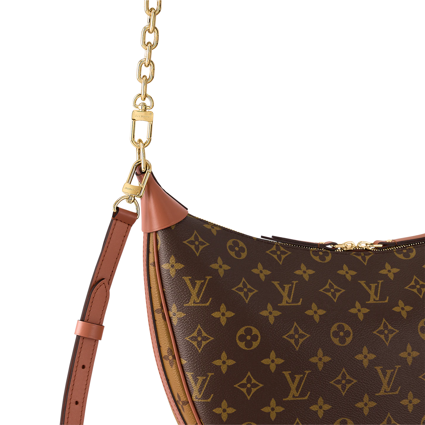 louis-vuitton-loop-hobo-M46311_PM1_Closeup-view.png.webp